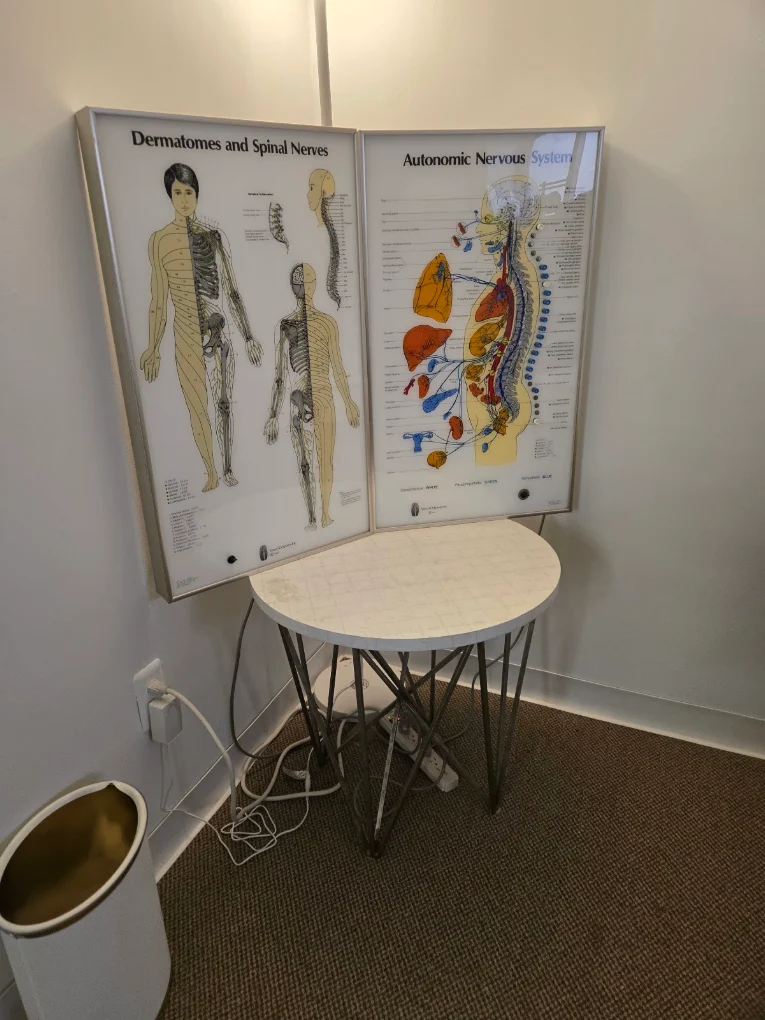 Chiropractor Diagram
